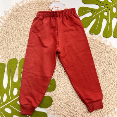 Inverno 2025 - Conj. Blusão Dino Prehistory e Calça em Moletom - Telha