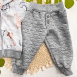 Inverno 2025 - Conjunto Dinos nas Nuvens Jaqueta com Capuz e Calça - Cinza