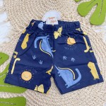 Verão 24/25 - Conj. Regata Roar e Short Dinos com Solzinho - Branco e Marinho