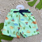 Verão 24/25 - Conj. Camiseta Happy Dinos e Short - Chumbo e Verde