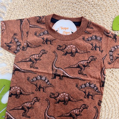 Verão 24/25 - Conj. Camiseta Rústica Dinos e Short em Moletinho - Marrom e Ferrugem