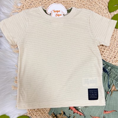 Conj. Camiseta Listras Pontilhadas e Bermuda Dinos - Areia